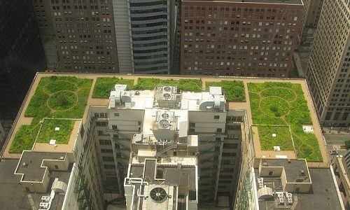 Guest Post: Green Roofs Boost Efficiency of Buildings and Photovoltaic Panels