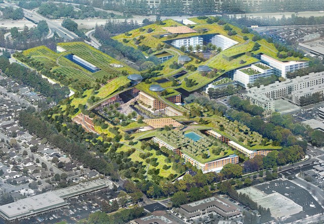 Word's largest green roof