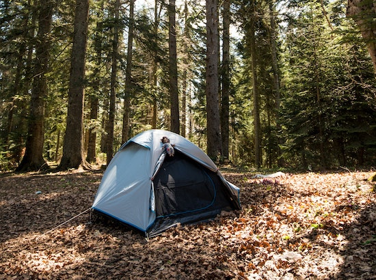 A campsite with a tent where a top-rated solar shower would be useful