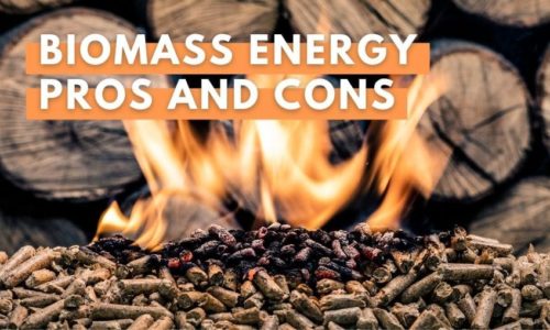 BFP BiomassEnergyProsAndCons