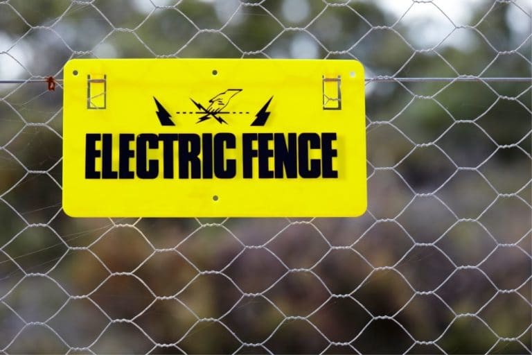 How Much Is An Electric Fence For Dogs