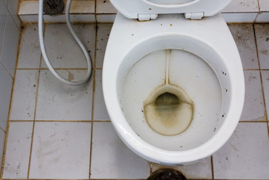 How To Remove Hard Water Stains From A Toilet