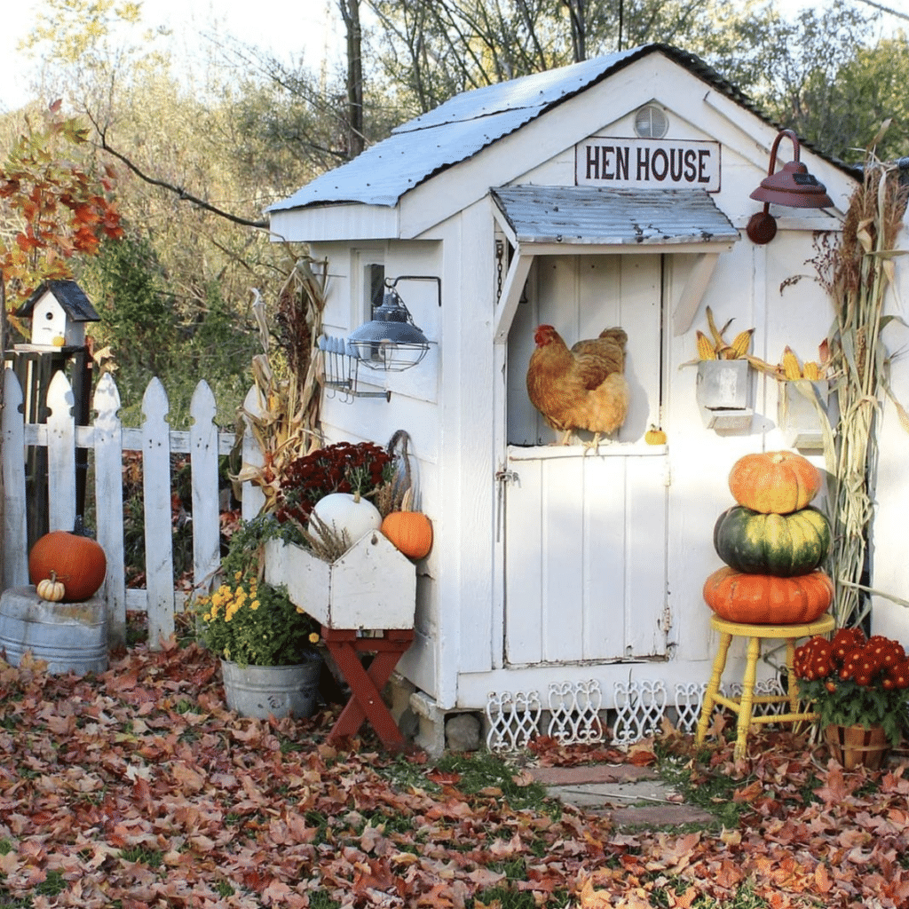 countryfirsts chicken coop