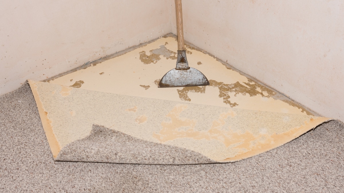 remove carpet glue from concrete