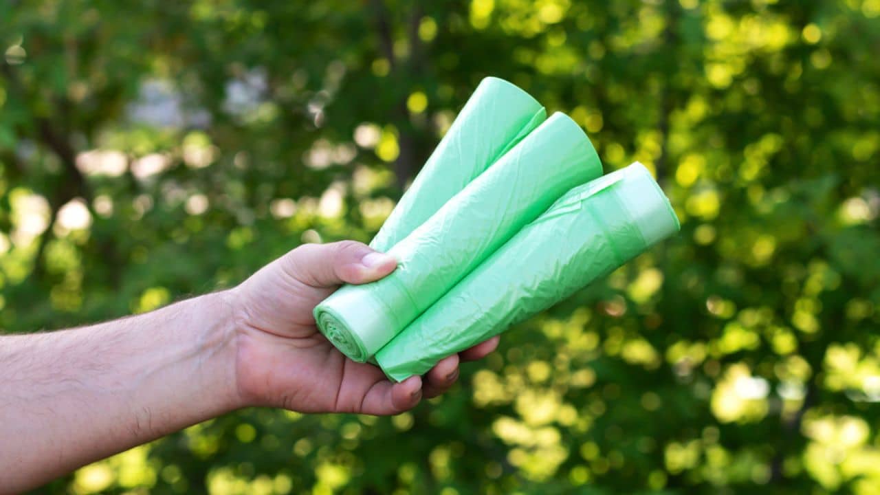 The 7 Best Biodegradable Trash Bags