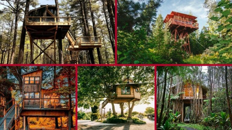 Coolest Treehouse Rentals In Every US State