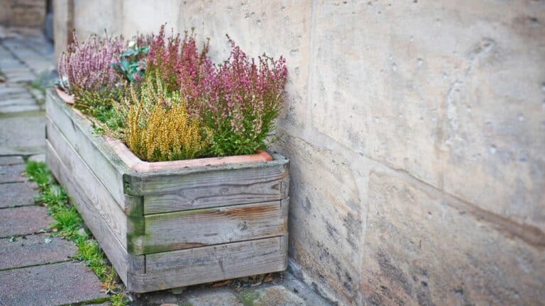 Enhance Your Space With Unique Outdoor Planter Ideas