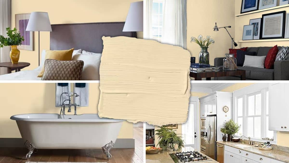 13 Rooms In Glidden Limitless (2024 Paint Color)